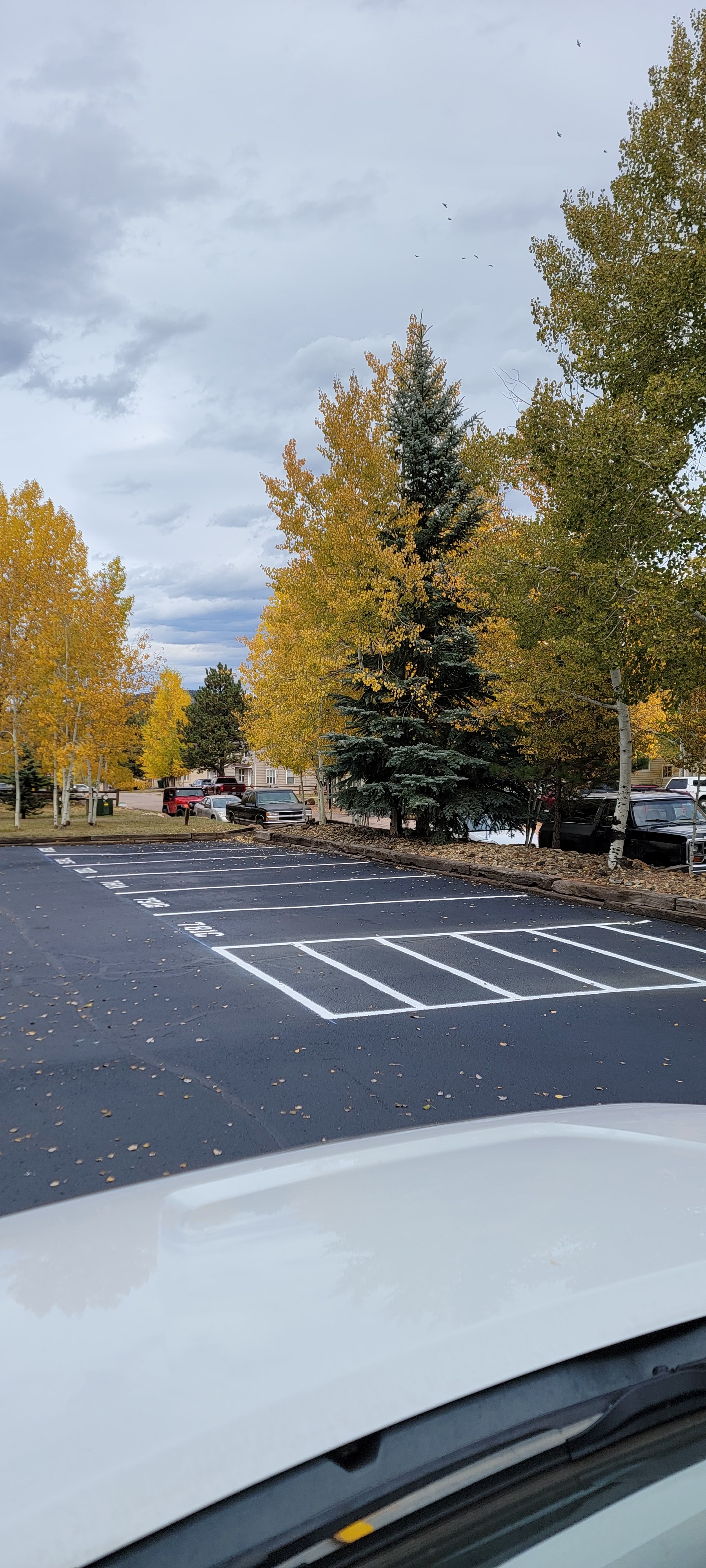 Commercial parking lot striping project 46 by Big Blu's in Colorado Springs